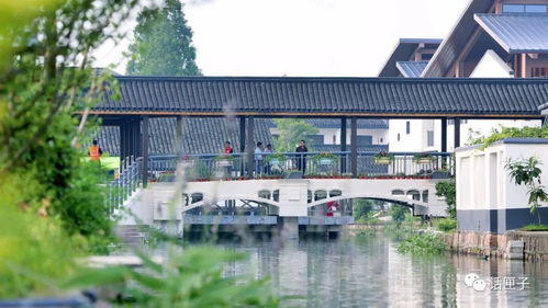 住在風景里，何必還要去找風景——宜興網站建設讓美麗鄉村觸手可及