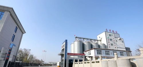 山東永明糧油擬在魯西南建設大型多功能面粉廠，助力區域農業經濟高質量發展