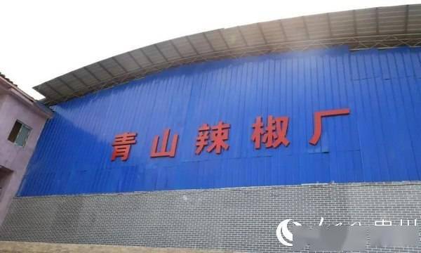 金海湖新區規劃建設辣椒加工廠，延長產業收益鏈