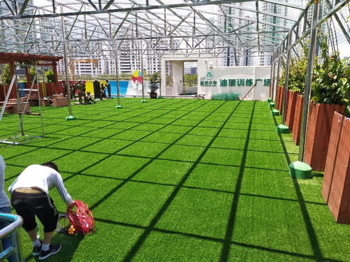 深圳仿真草坪植物墻花草綠植裝飾工廠直銷環(huán)保低碳上門安裝