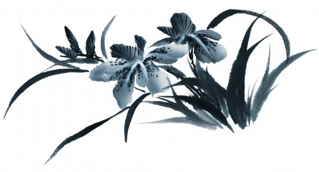 水墨花卉畫(huà)作賞析與苗木種植技術(shù)概述