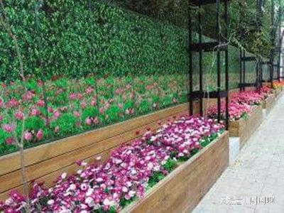 花卉園藝師證報(bào)考指南 報(bào)名流程、考試內(nèi)容及費(fèi)用全解析