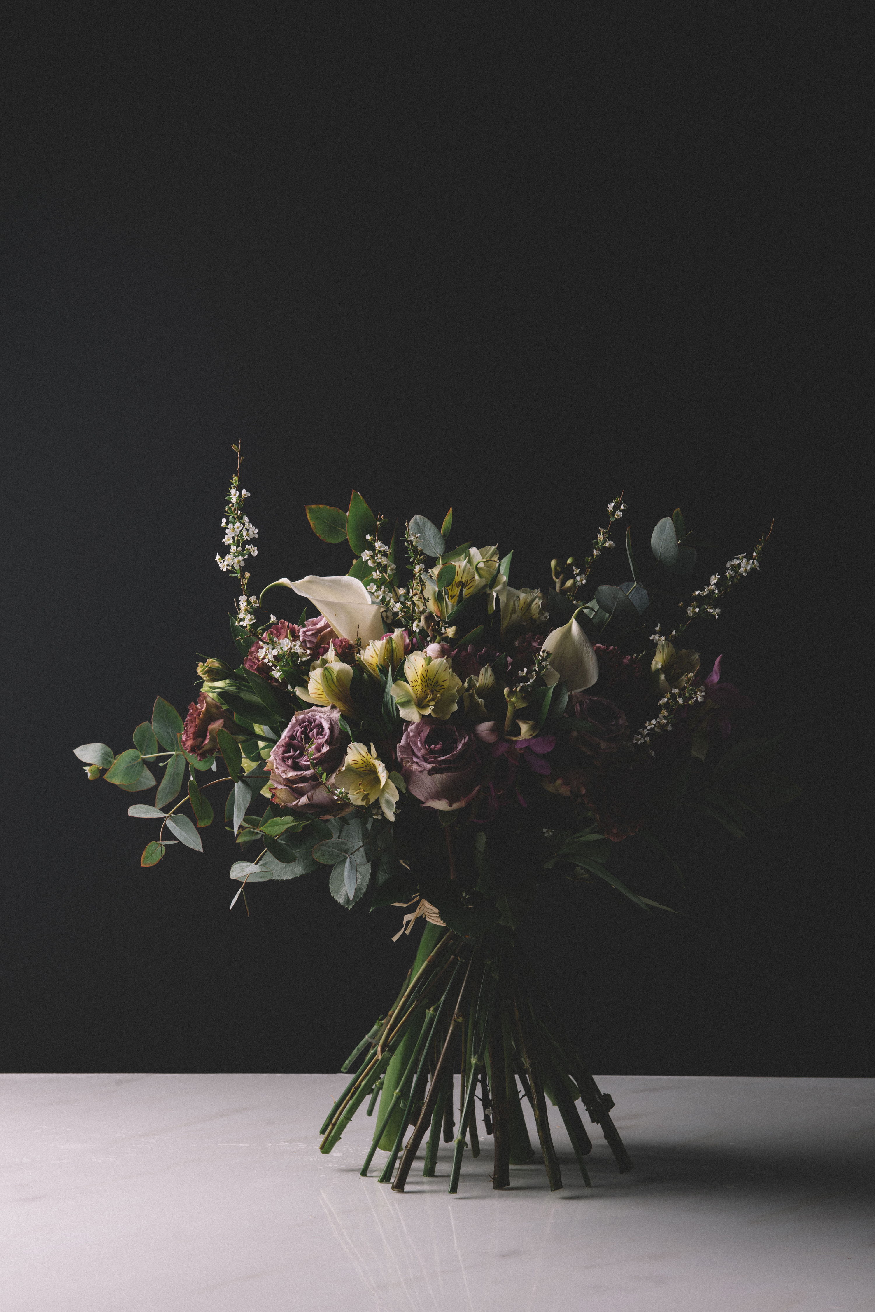 半朵鮮花 靜物花卉攝影中的殘缺美學(xué)